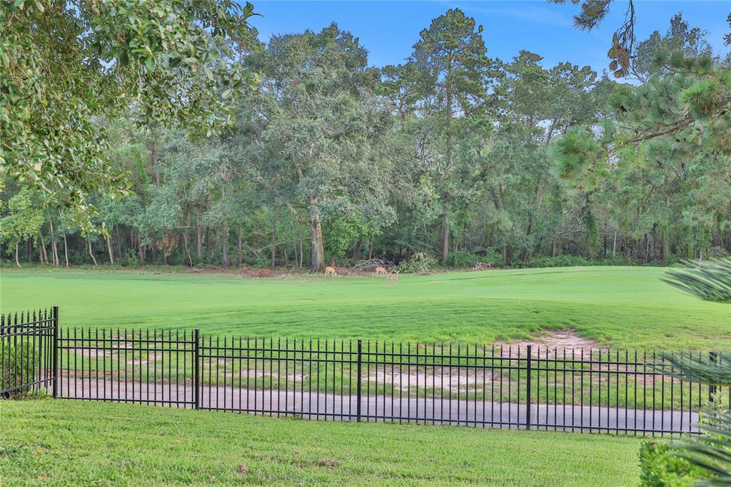 2814 S Cotswold Manor Drive Kingwood TX 77339 Barrington Schedule a Private Showing with a Member of the Red Hawk Property Team brokered by JLA Realty Golf Course Lot Clubs of Kingwood 2814 S Cotswold Manor Drive Kingwood TX 77339 Barrington Schedule a Private Showing with a Member of the Red Hawk Property Team brokered by JLA Realty Golf Course Lot Clubs of Kingwood
